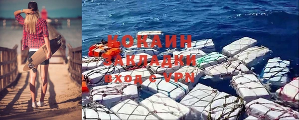 твердый Богданович