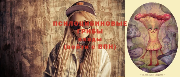 синтетический гашиш Богородицк