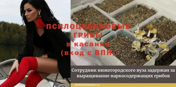 синтетический гашиш Богородицк