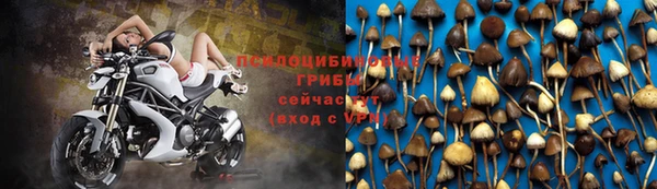 твердый Богданович