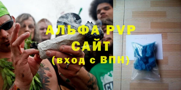 твердый Богданович