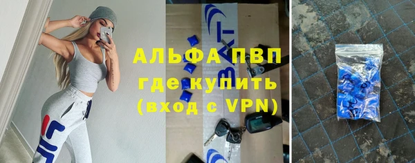 твердый Богданович
