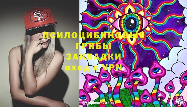 твердый Богданович