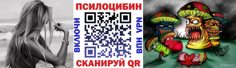 Псилоцибиновые грибы Magic Shrooms  Тверь 
