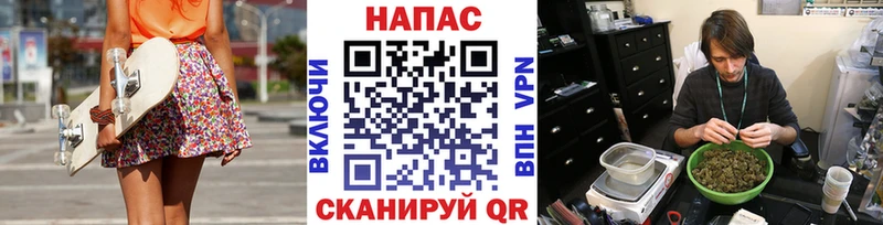 Бошки Шишки Amnesia  сколько стоит  Тверь 